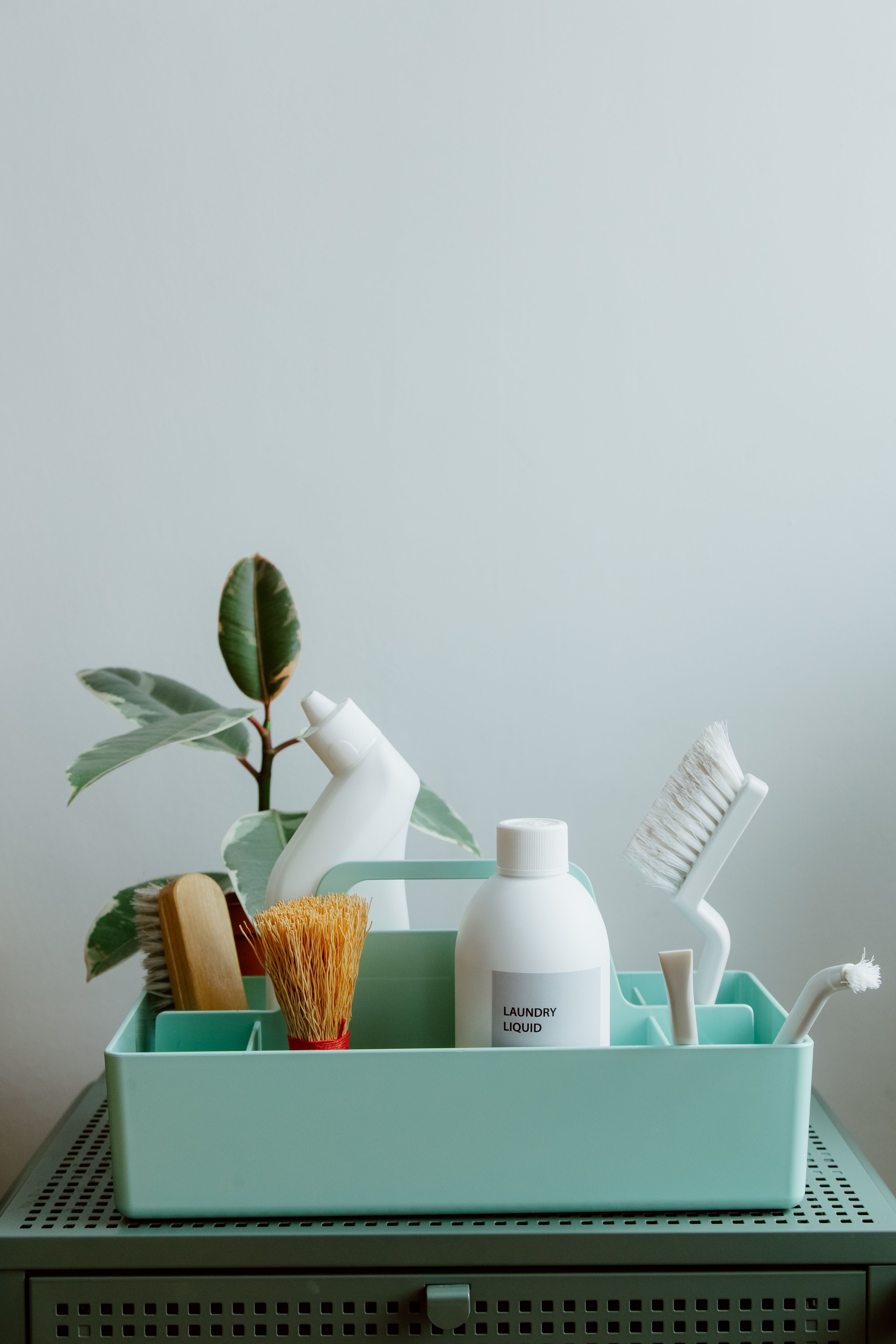 A calm cleaning kit with brushes, bottles and a house plant